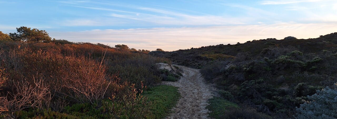 trail